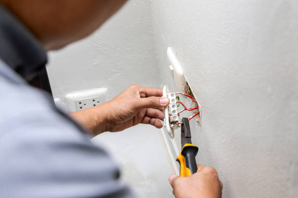 Best Electric Panel Repair  in Gray, LA